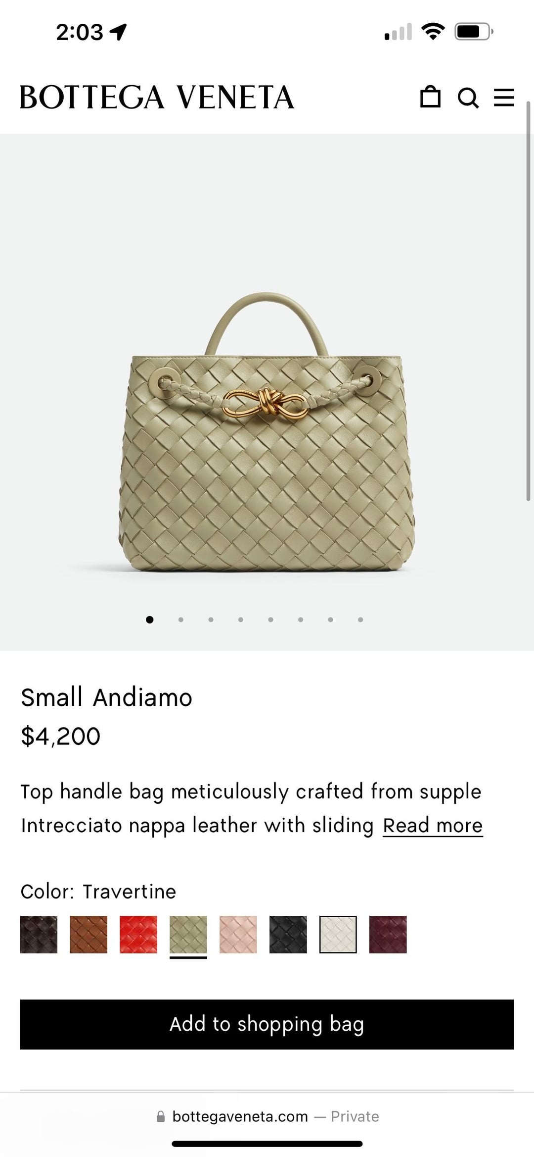 Loewe Style Andiamo 154 Ivory detail 2