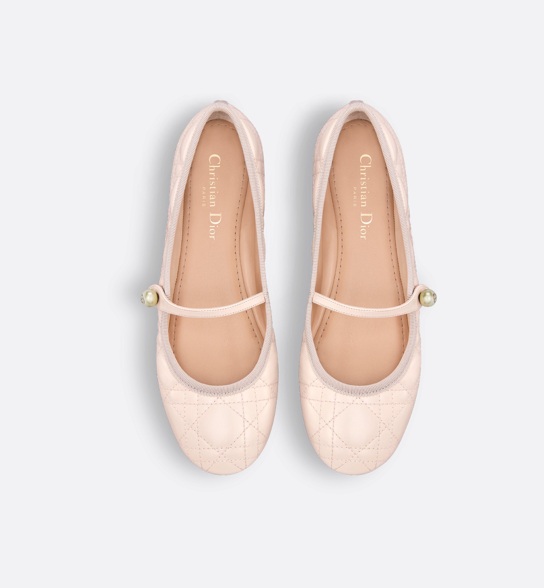 Dior Style Andiamo 170 Rose Ballerine detail 2
