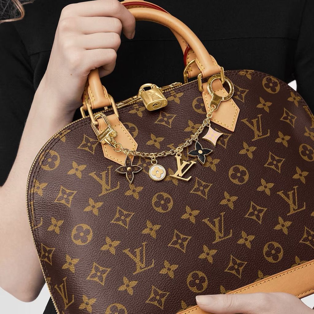 Damier Speedy 224