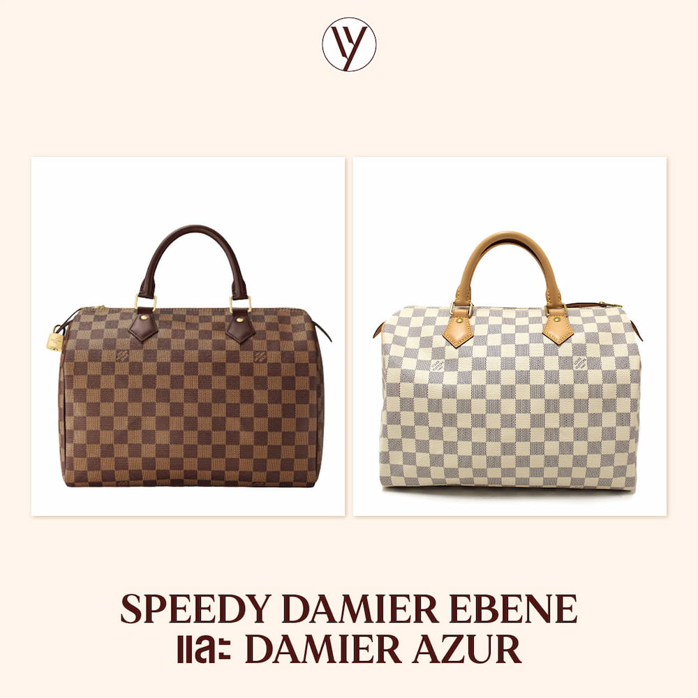 Goyard Style Damier Speedy 224 Damier Ebene detail 3
