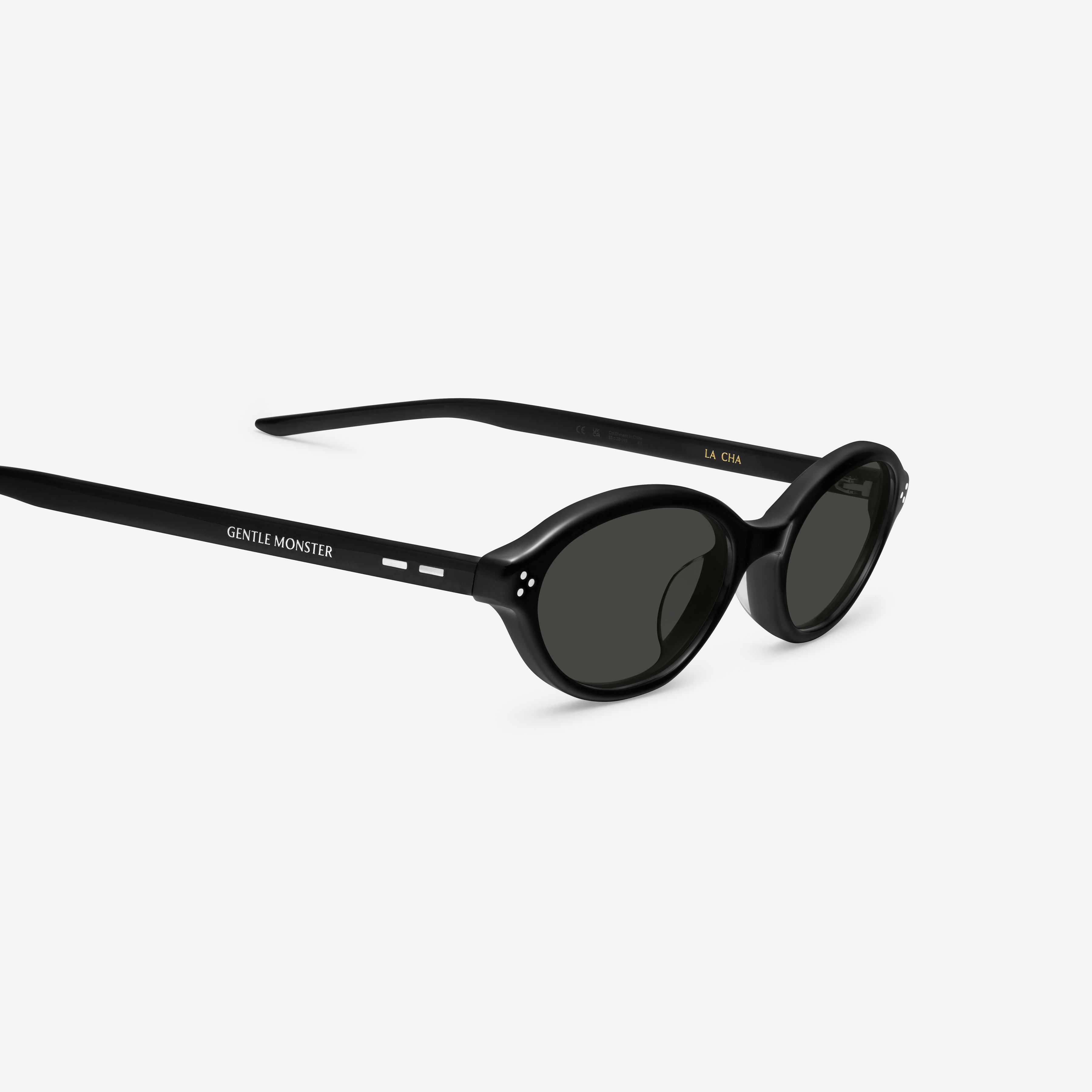 Gentle Monster Style Panto Frame 78 Matte Black detail 3