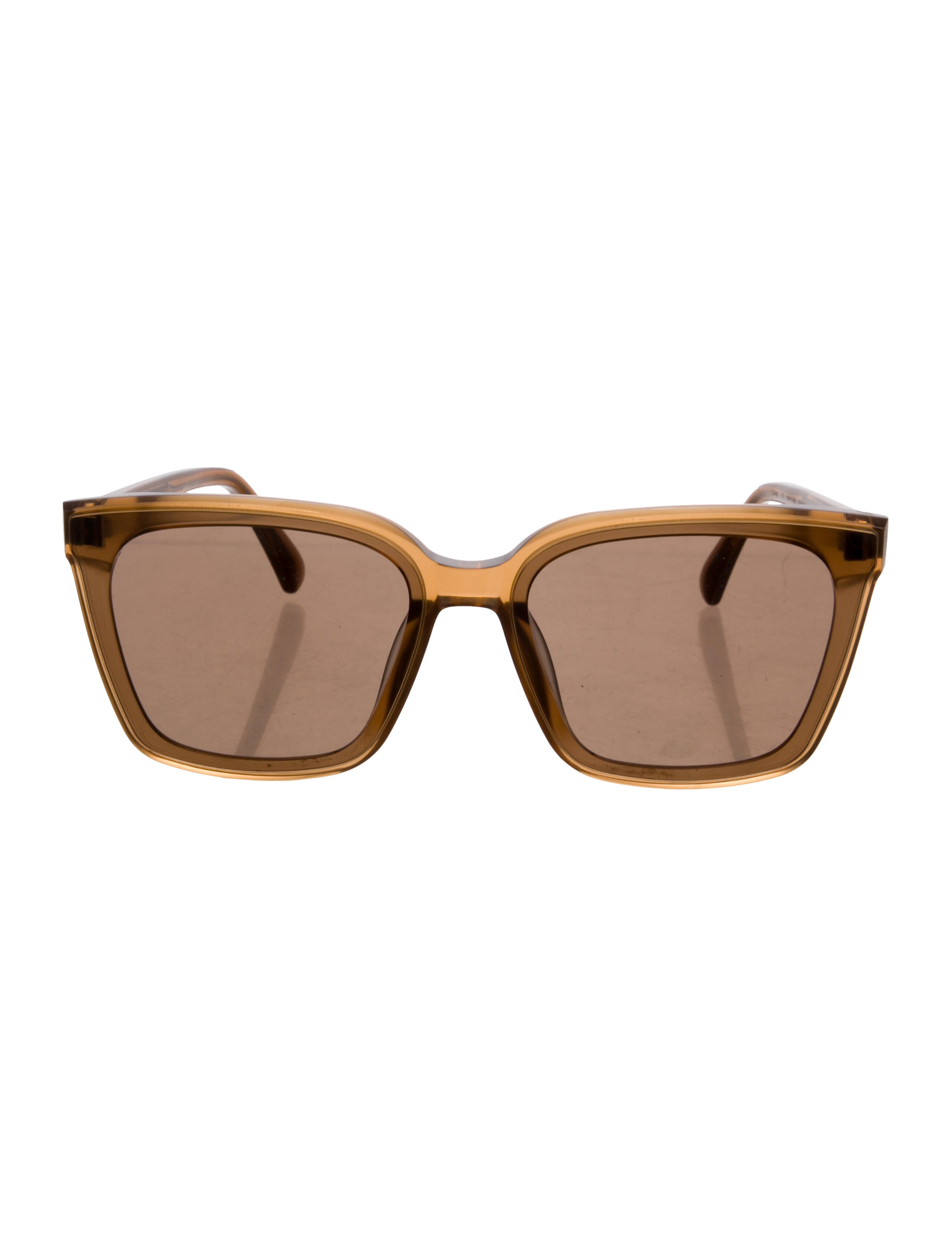 Gentle Monster Style Wayfarer Classic 173 Havana detail 3