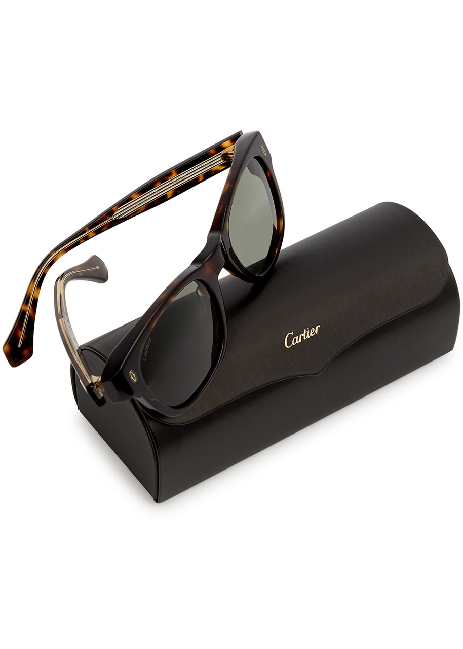 Cartier Style Wayfarer Classic 172 Tortoise detail 2