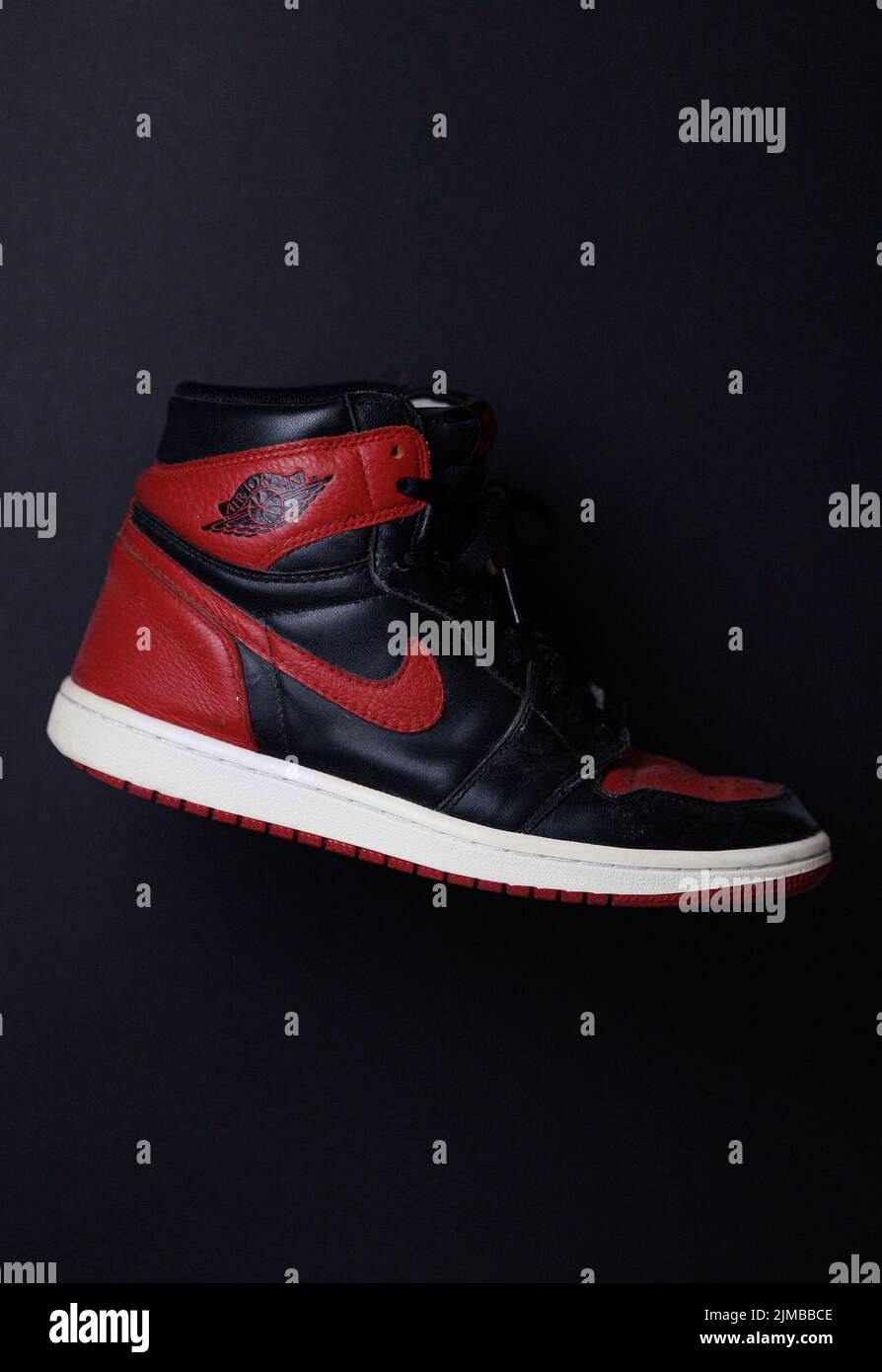 Dunk Low 42