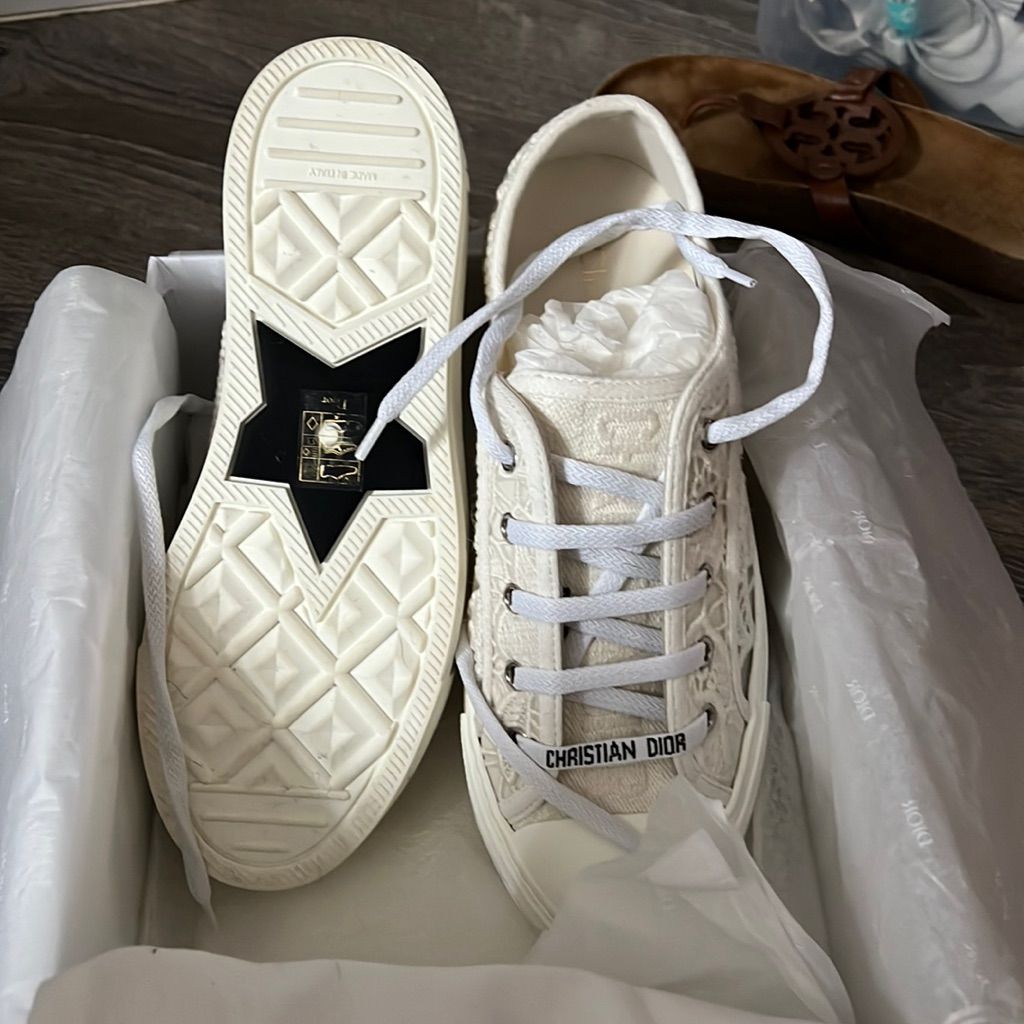 Dior Style Ace Sneaker 53 Beluga detail 3