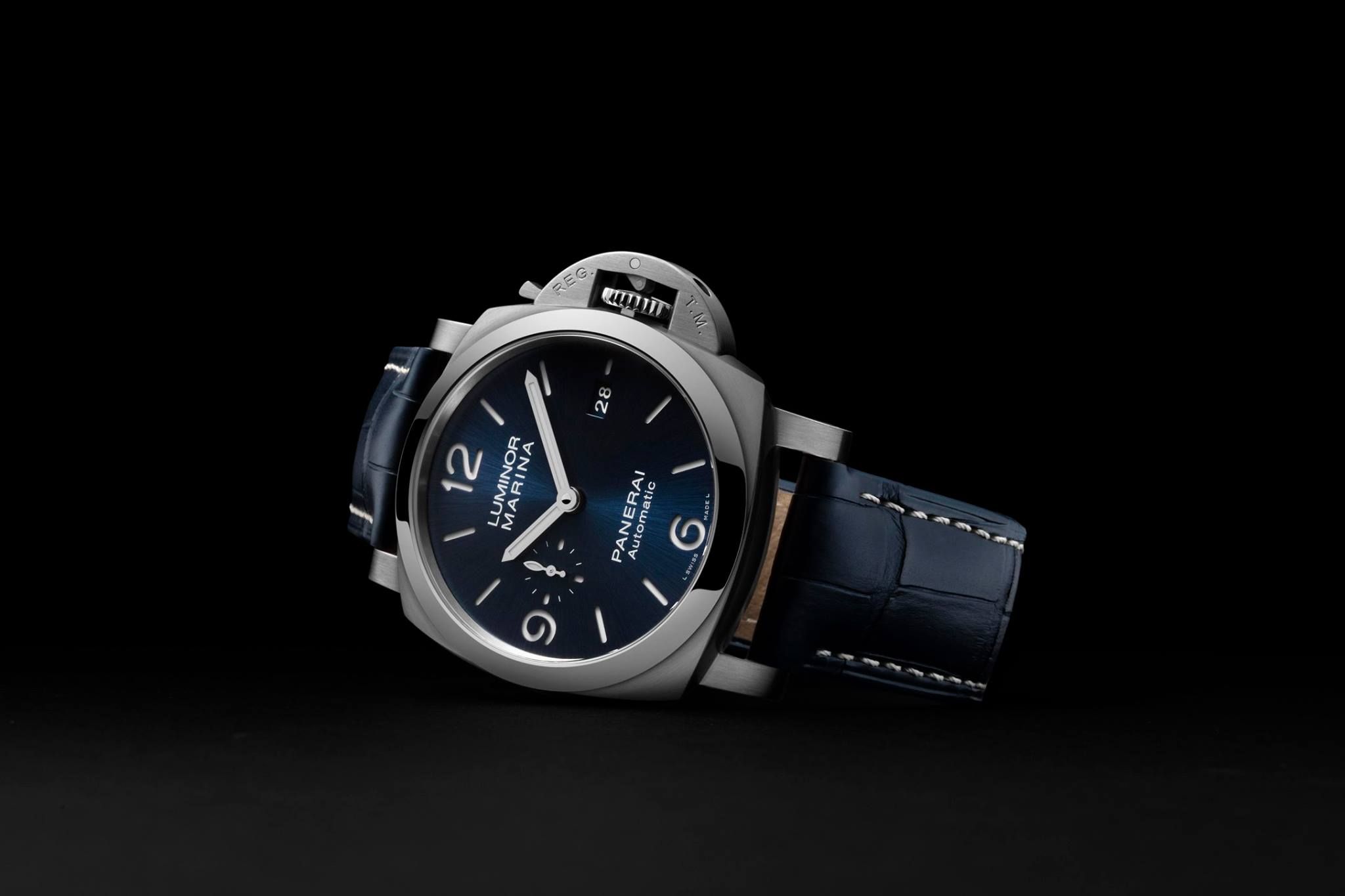 Omega Style Luminor Marina 140 Meteorite Dial detail 4